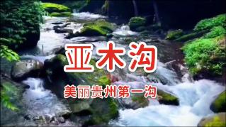 小猫钓鱼开船版最新版下载